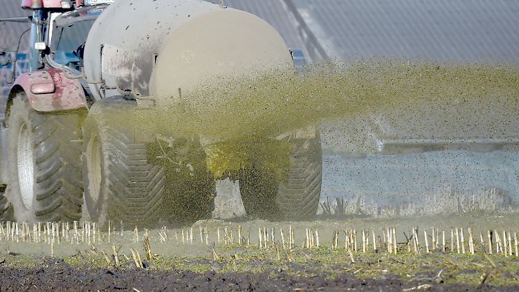 Die Gülle-Proben waren Greenpeace zugespielt worden.