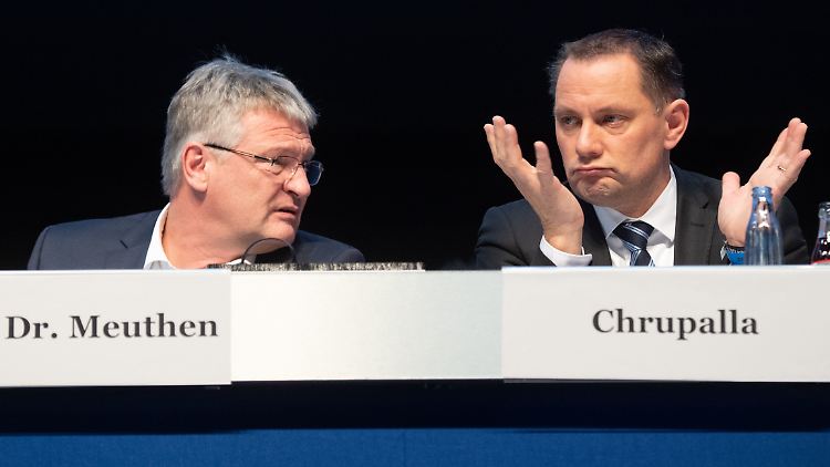 Der Co-Vorsitzende Meuthen und Bundestagsfraktions-Co-Chef Chrupalla
