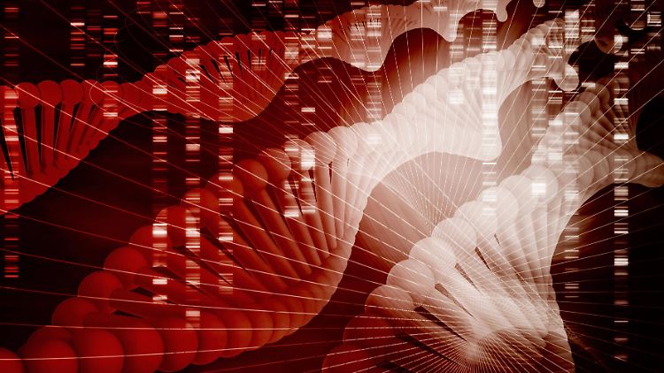 Die mRNA soll auf völlig neue Weise das Immunsystem gegen Viren aufrüsten.