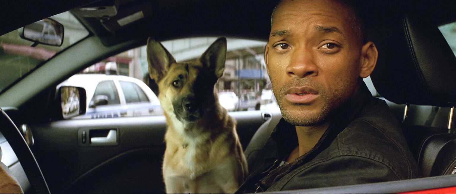 Vielleicht kennen Sie den Film "I Am Legend" aus dem Jahr 2007, lieber Leser. Will Smith spielt darin den letzten Einwohner von Manhattan - der Rest der Menschheit wurde weitgehend von einem Virus dahingerafft. In der Eingangsszene geht er mit seiner Schäferhündin Sam auf die Jagd, und zwar ...  