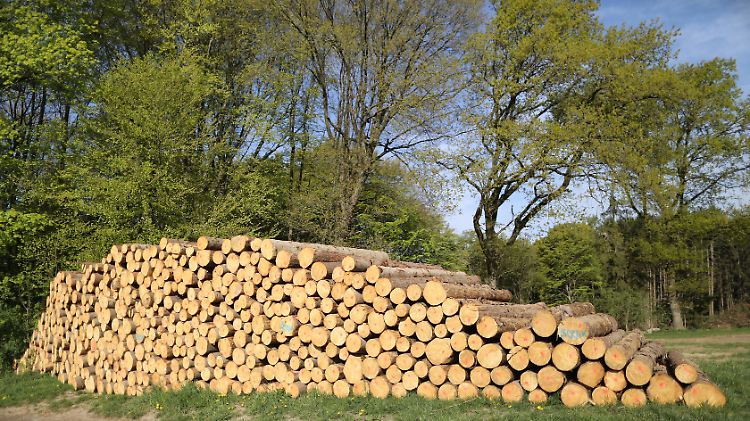 Die Holzwirtschaft ist "extrem besorgt".