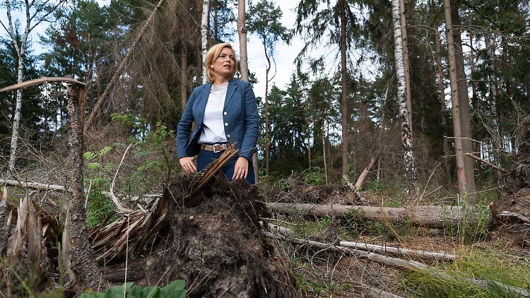 Bundesforstministerin Klöckner besuchte nach dem Dürresommer 2019 bereits schwer beschädigte Wälder.