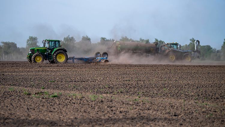 Landwirte klagen über Regenmangel und trockene Böden.