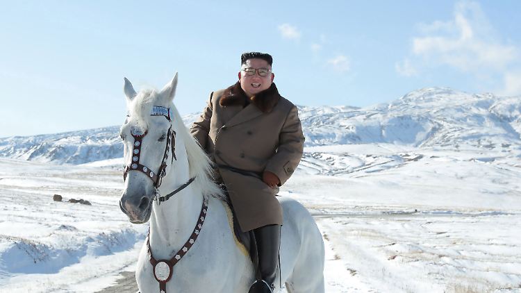 Auf diesem Propaganda-Foto aus dem vergangenen Oktober sieht Kim noch ganz gesund aus.
