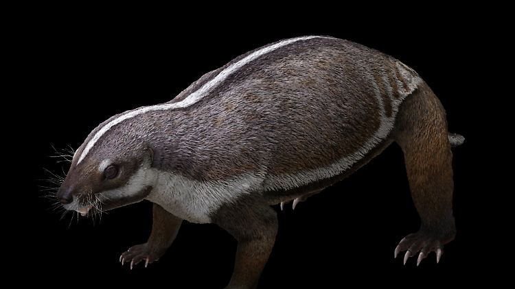 Das dachsähnliche Tier könnte sich eingegraben haben, um nicht von Dinosauriern gefressen zu werden.