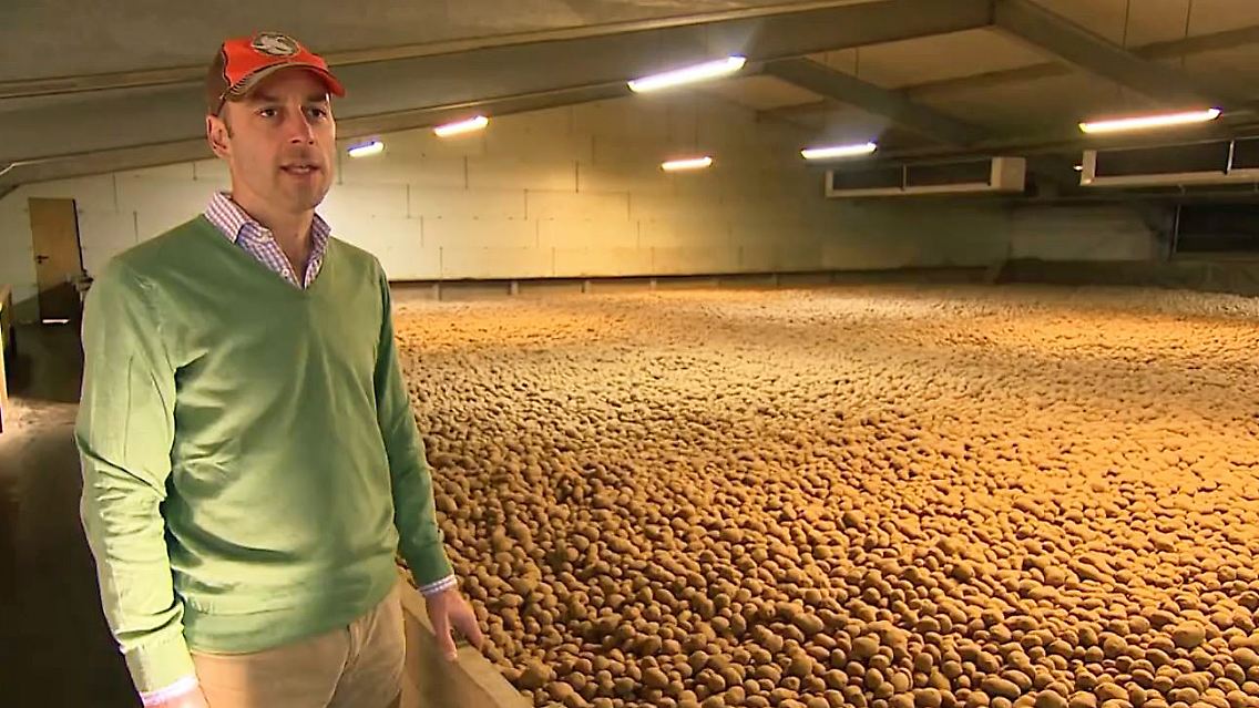 Kartoffeln Corona-Krise Pommes-Krise.JPG