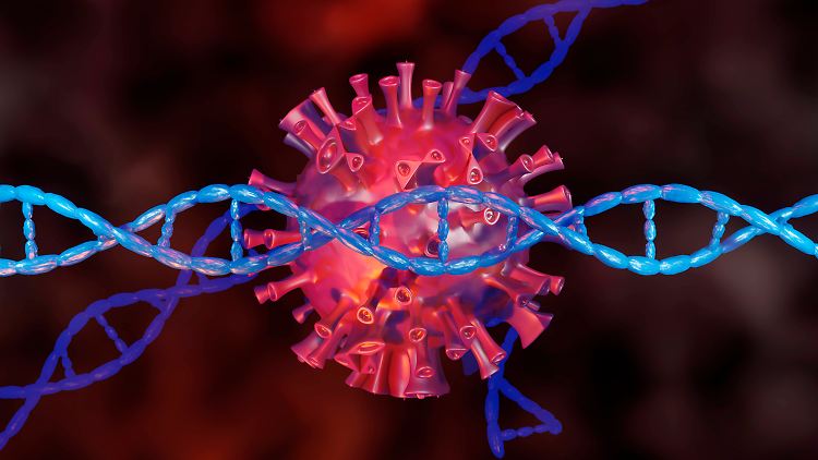 Die grafische Darstellung zeigt ein Coronavirus mit DNA-Strang.