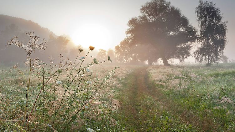 Grönland-Luft bringt kühle Temperaturen nach Norddeutschland.