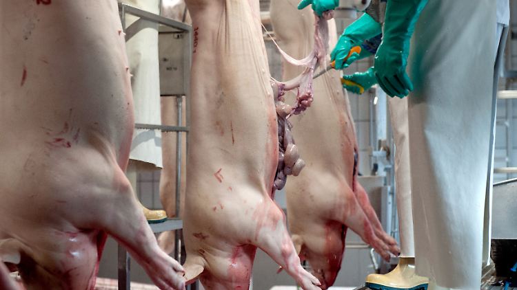 Die Hygienevorschriften in den betroffenen Betrieben wurden verschärft.