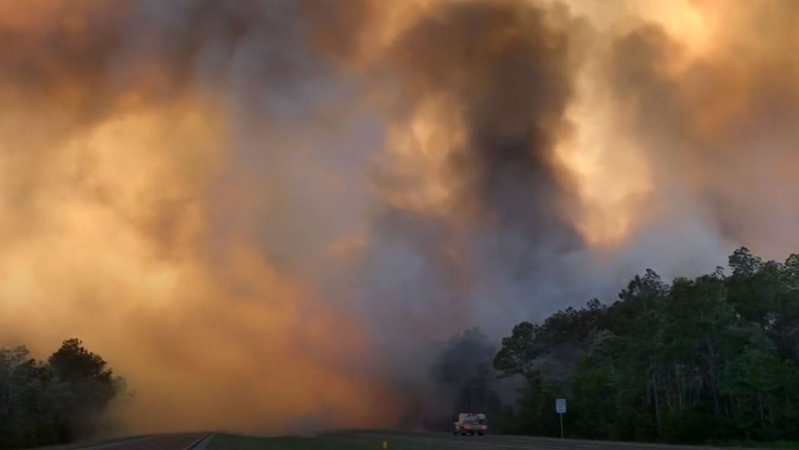 Florida.jpg