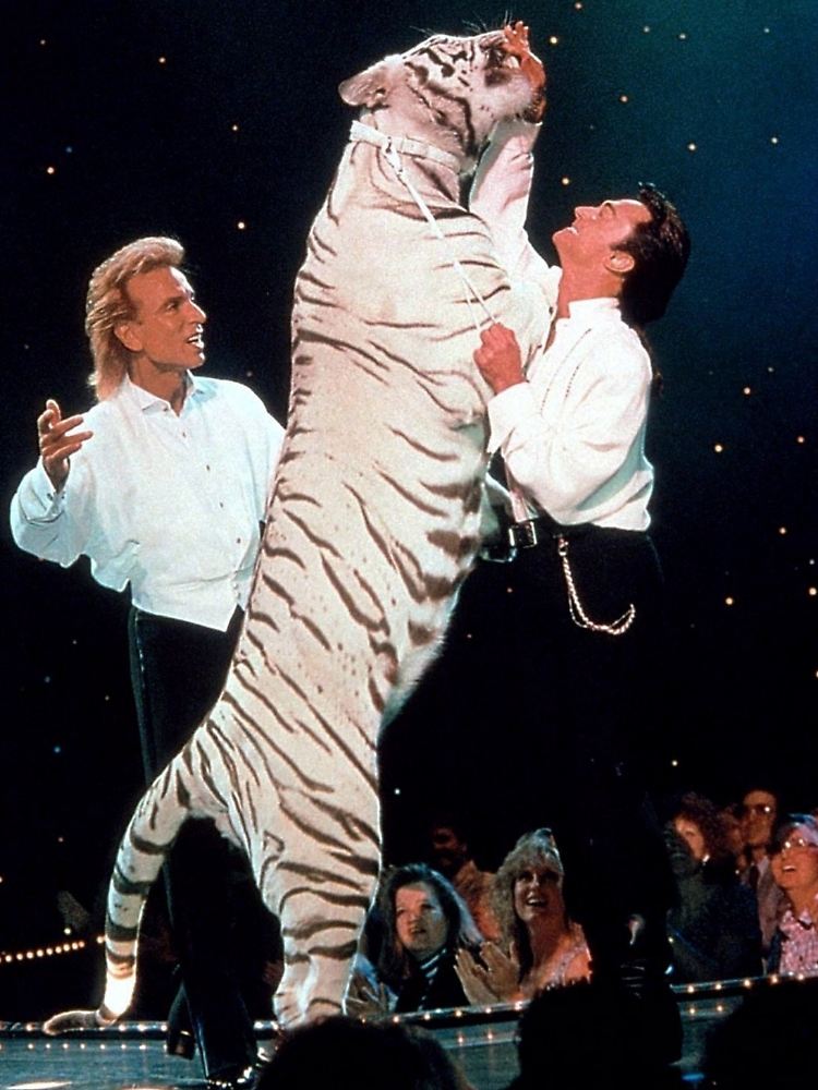 "Siegfried und Roy" begeisterten mit ihren Zaubershows Millionen Zuschauer.