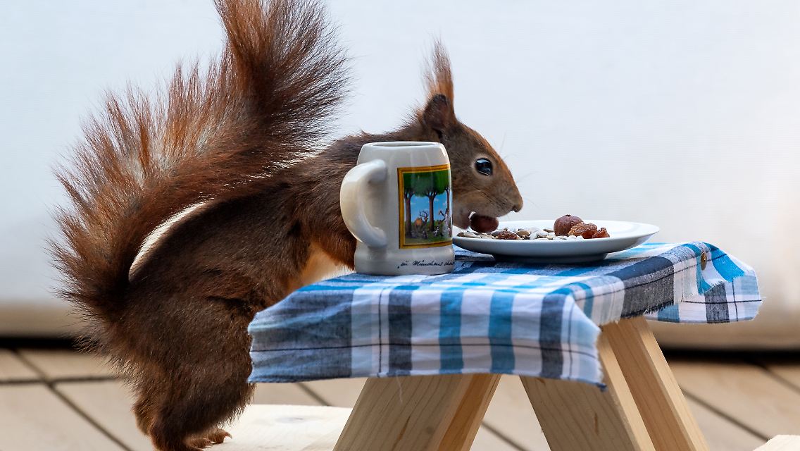 Madame lässt es sich schmecken.