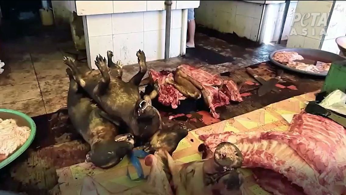 Peta.jpg