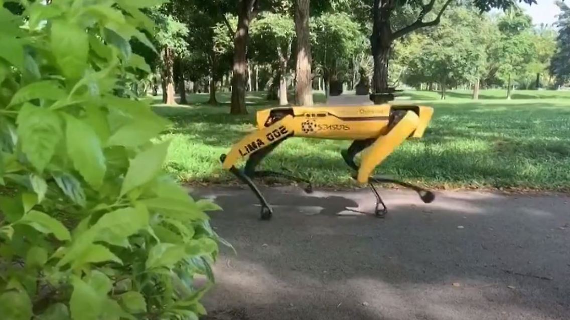 Spot.JPG