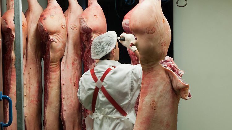 Immer wieder kommt es in Schlachthöfen zu Coronavirus-Ausbrüchen.