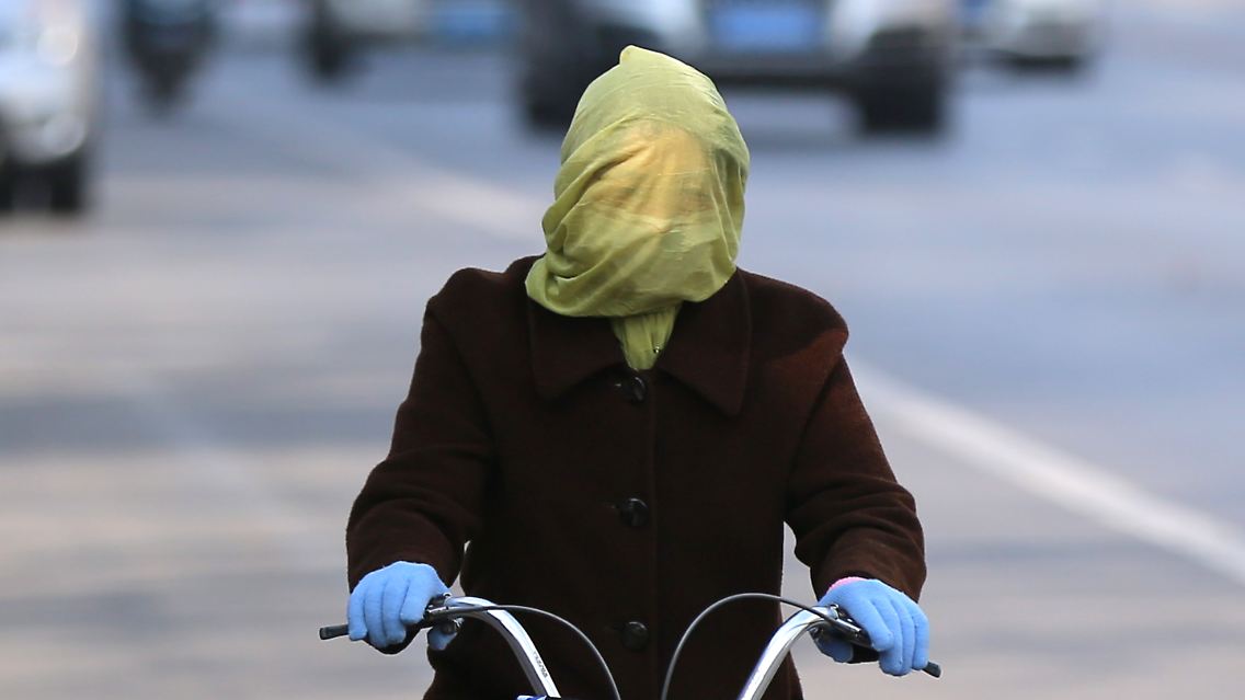 Fahrradfahrerin in der Metropole Shenyang im Nordosten Chinas.