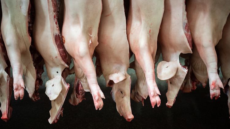 Die Fleischindustrie funktioniere nach dem Prinzip: "Massenproduktion von Fleisch zu Dumpingpreisen dank Dumpingbedingungen", kritisiert Grünen-Chef Robert Habeck.
