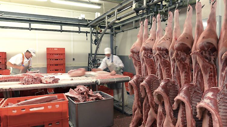 Die fleischverarbeitende Industrie steht in der Corona-Krise in der Kritik. Nun will die Politik eingreifen.