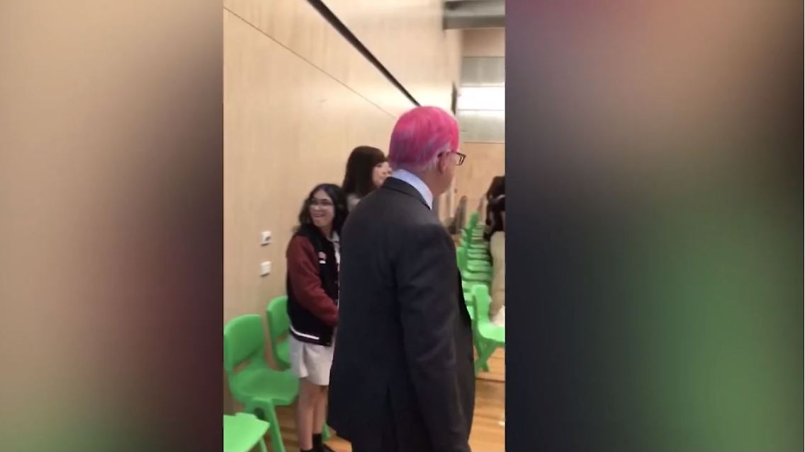 Pinke haare.JPG