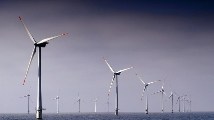 Offshore-Windanlagen bringen viel Energie ins Netz, sind aber auch schwere Eingriffe in die Meeres-Ökosysteme.