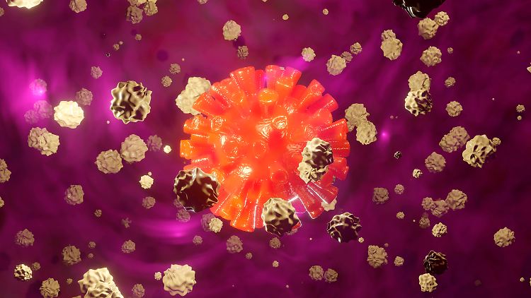Die Grafik zeigt weiße Blutkörperchen um ein Coronavirus.