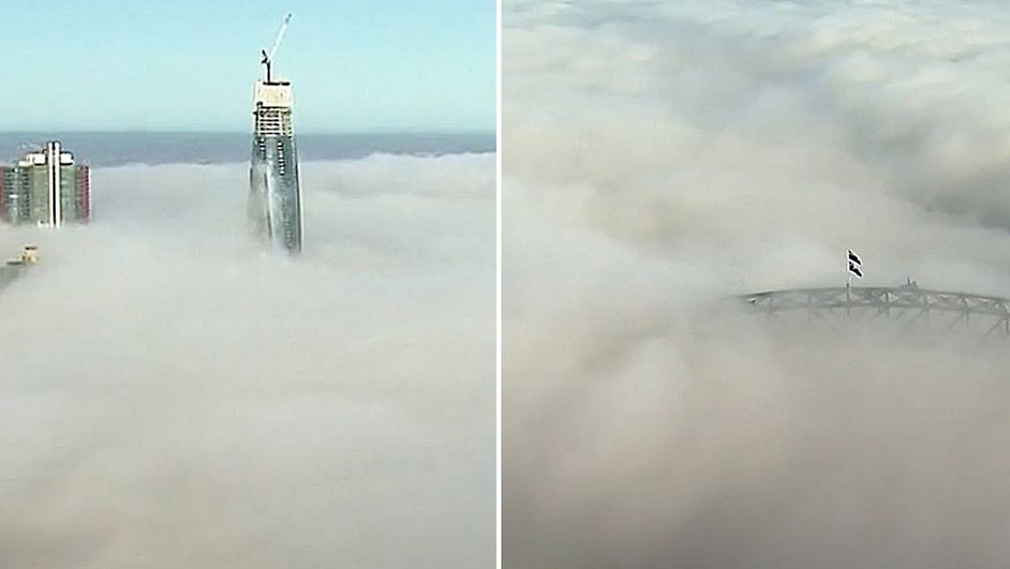 Sydney Nebel Collage.jpg