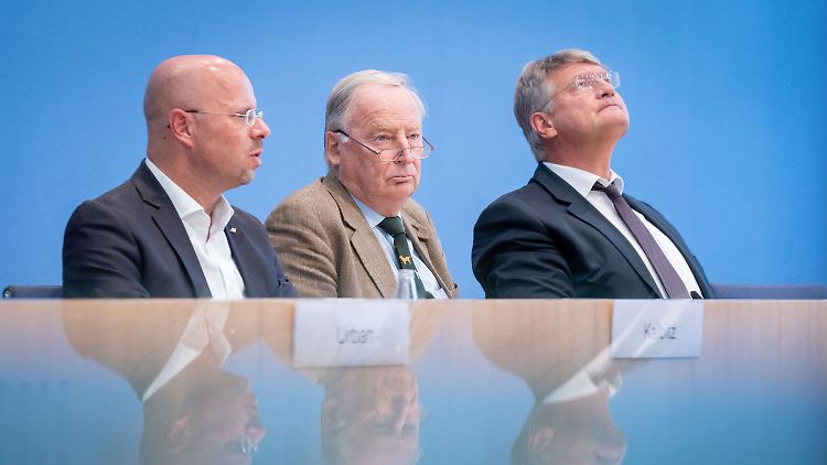Widerspricht zwar der AfD-Logik, aber: Kalbitz und Gauland links, Meuthen rechts.