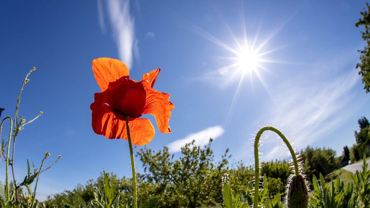 Ab Pfingstmontag scheint die Sonne wieder häufiger.