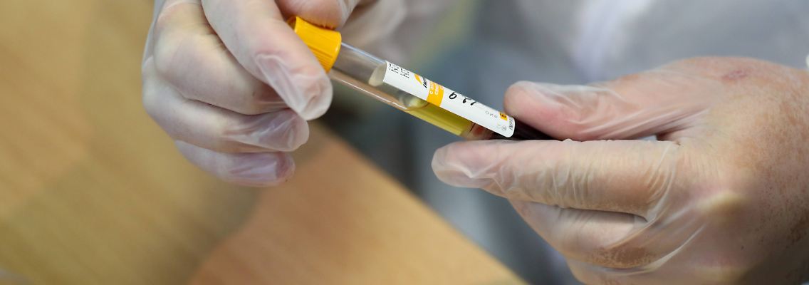 Corona-Test.jpg