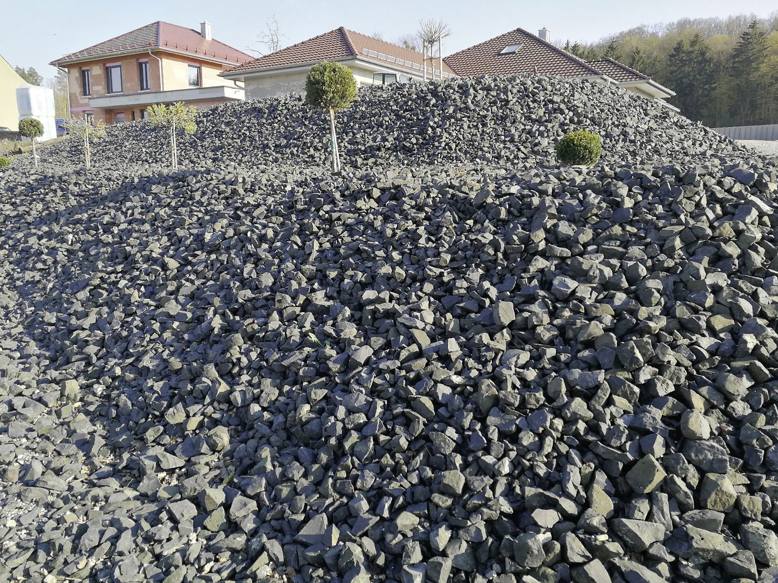 Wo Bienen keine Chance haben Schotter statt Blumen "Gärten des