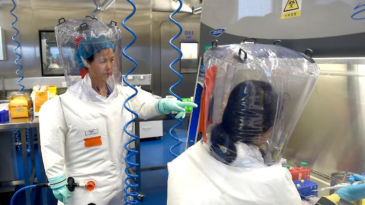 In dem Virus-Labor von Wuhan sei zwar an Coronaviren geforscht worden, nicht aber an Sars-CoV-2, beteuert nun dessen Direktorin im chinesischen Fernsehen.