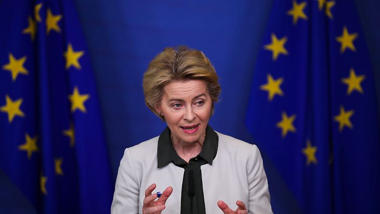 Das EU-Programm wurde von Kommissionspräsidentin Ursula von der Leyen entworfen.