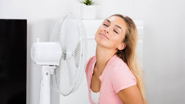 Insgesamt "gut" schneiden im Test nur 6 der 18 Ventilatoren  ab. 