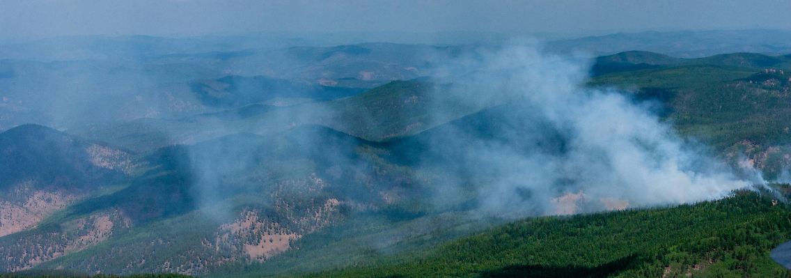 In Russland kämpft die Feuerwehr seit Wochen gegen Waldbrände. Mehr als 5600 seien landesweit bereits gemeldet worden, teilten die Behörden mit.