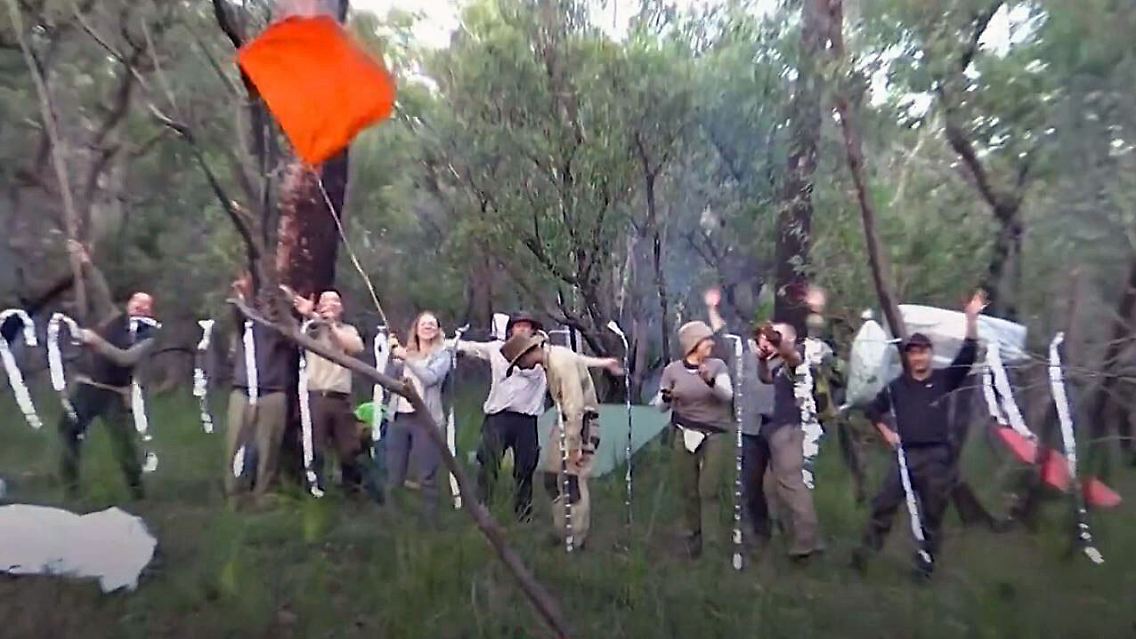 AliImOutback.jpg