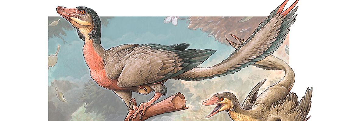 Ilustracion-Overoraptors-1-Gabriel-Lio-web (1).jpg