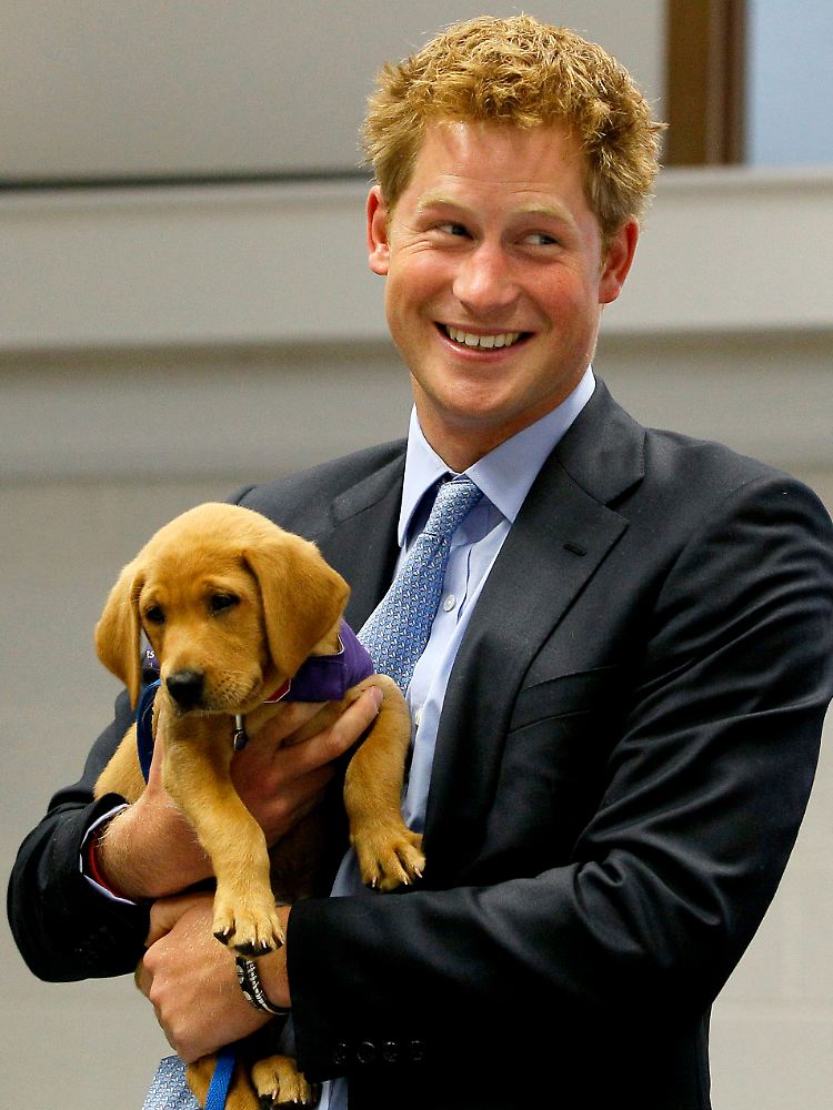 Mit großem Herz für Tier und Mensch: Prinz Harry.