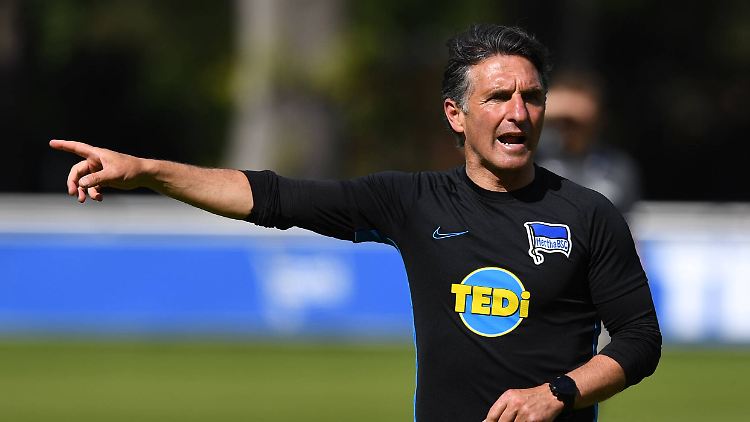 "Da geht's lang": Bruno Labbadia gibt der Hertha wieder eine Richtung vor.