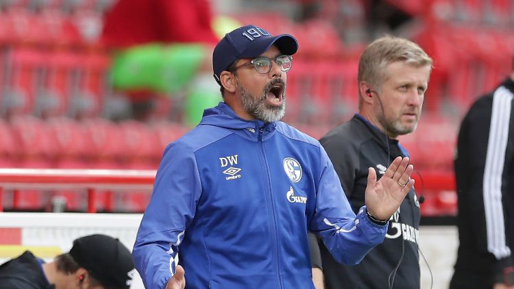 Heftig in der Kritik: Trainer David Wagner. 