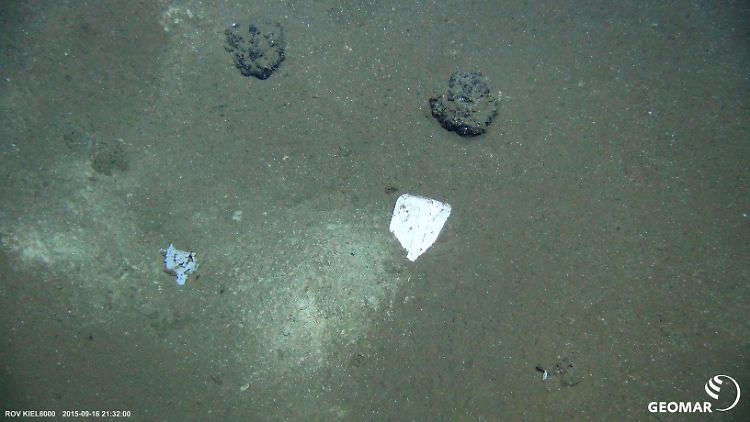 Plastiktüten bauen selbst nach langer Zeit im Wasser offenbar keine Bestandteile ab.
