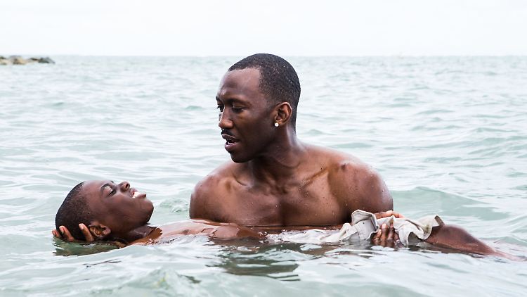 Einer der seltenen Überraschungserfolge in Hollywood: "Moonlight" von Barry Jenkins.