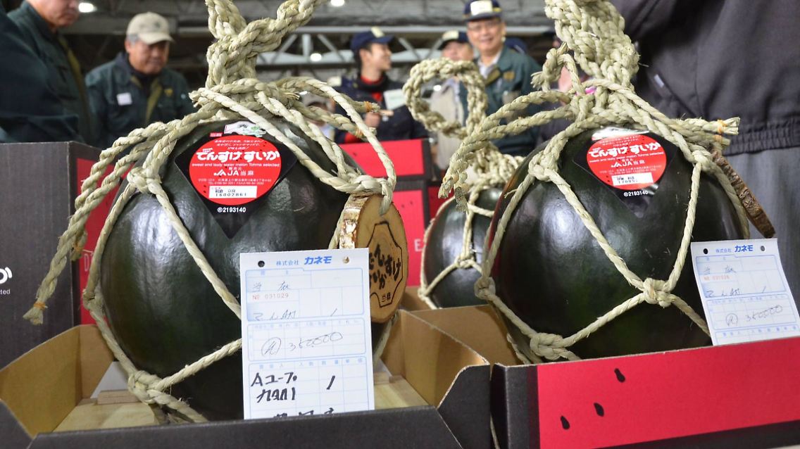 Densuke-Wassermelonen: Nirgendwo bekommen Obst und Gemüse eine derartige mediale Aufmerksamkeit wie in Japan - ein Marketing-Trick, der dort auch beim Thunfisch angewendet wird.