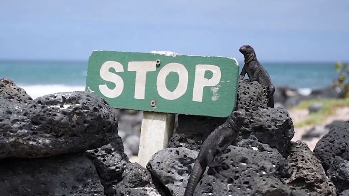 Galapagos.JPG