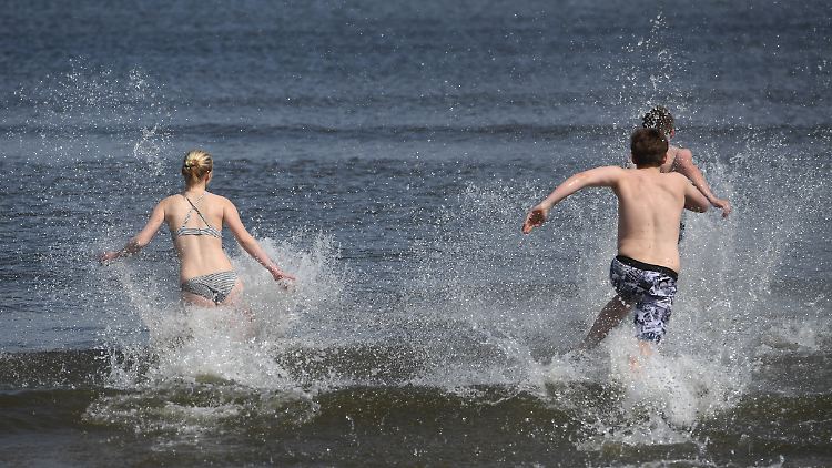 Vibrionen kommen an der gesamten Ostseeküste vor. Auch in Flussmündungen an der Nordsee sind sie anzutreffen.