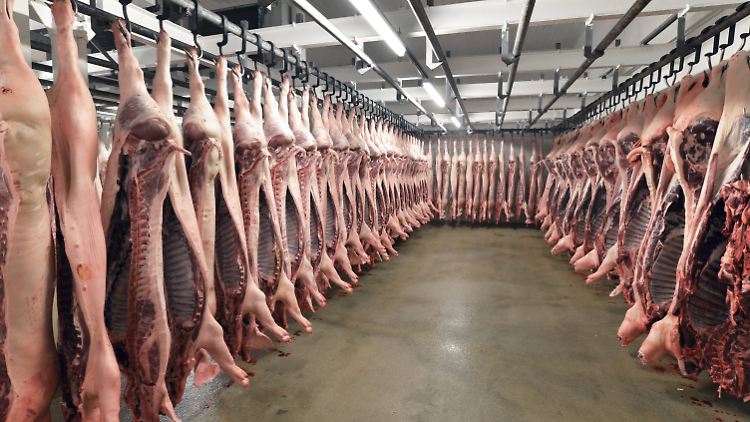 Missstände in der Fleischindustrie sind seit Jahren ein Thema. Das Virus bringt es nun wieder auf die Tagesordnung.