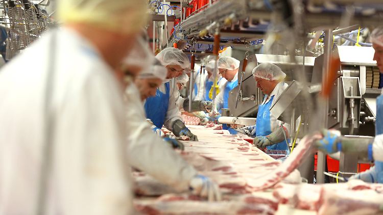 In Betrieben wie Tönnies sind viele Arbeiter bei Subunternehmern angestellt, verdienen wenig und müssen viel Geld für eine Unterkunft bezahlen.