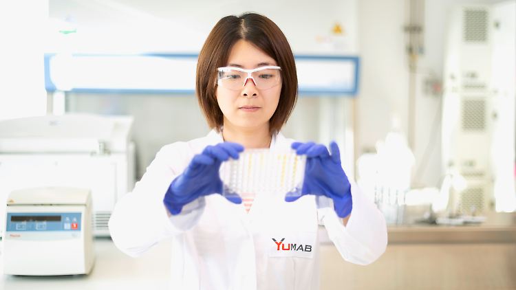 Eine Yumab-Mitarbeiterin überprüft das Bindungsvermögen von Antikörperkandidaten an das Sars-CoV-2 Virus.