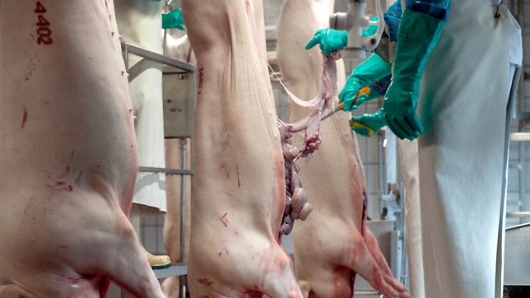 7000 Personen sind am Freitag durch eine Corona-Masseninfektion in einer Fleischfabrik unter Quarantäne gestellt worden.