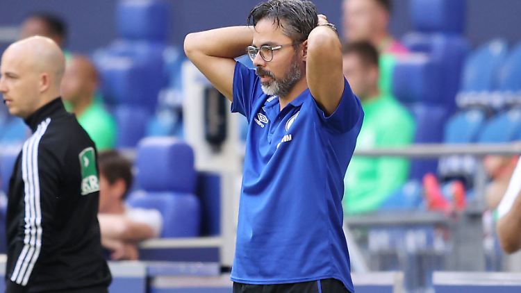 Trainer David Wagner hat trotz des bizarren Absturzes des FC Schalke 04 offenbar nichts zu befürchten.