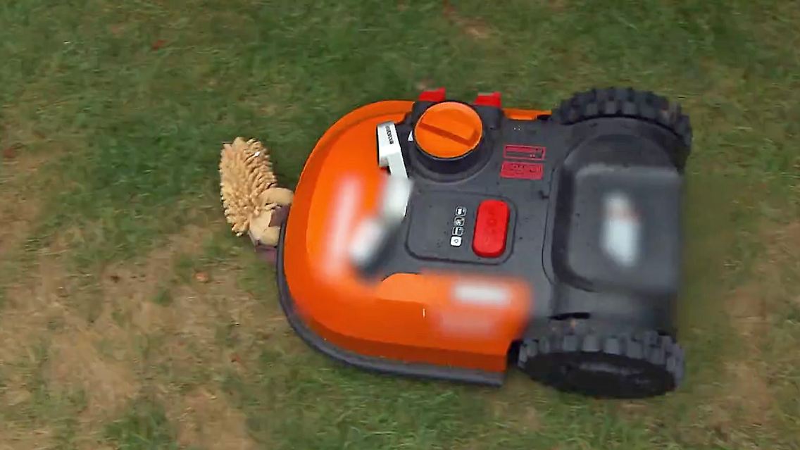 mähroboter.jpg